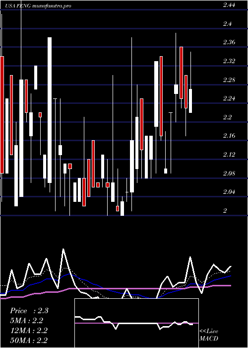 Daily chart PhoenixNew