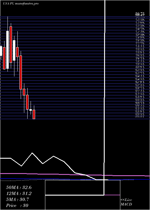 monthly chart FglHoldings