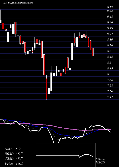 Daily chart FirstGuaranty