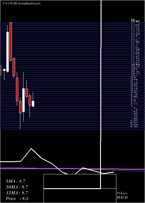 monthly chart FirstGuaranty