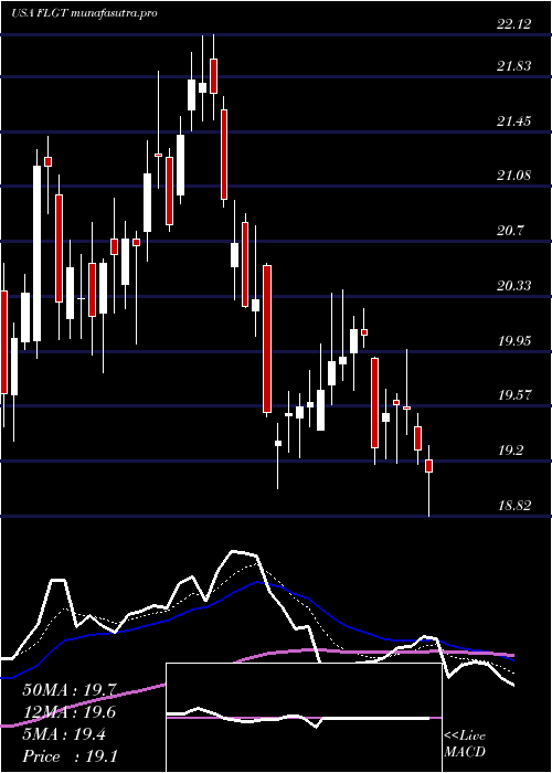 Daily chart FulgentGenetics