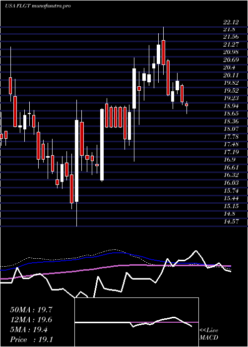 weekly chart FulgentGenetics