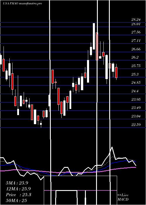 Daily chart FarmersMerchants
