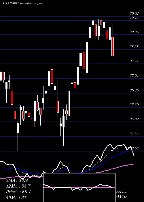 Daily chart FirstMid