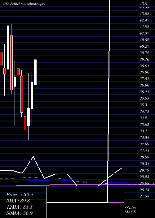 monthly chart FirstMid
