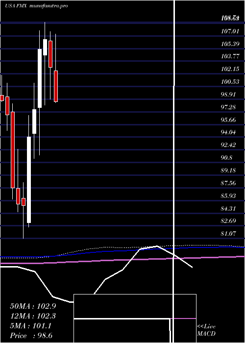 monthly chart FomentoEconomico