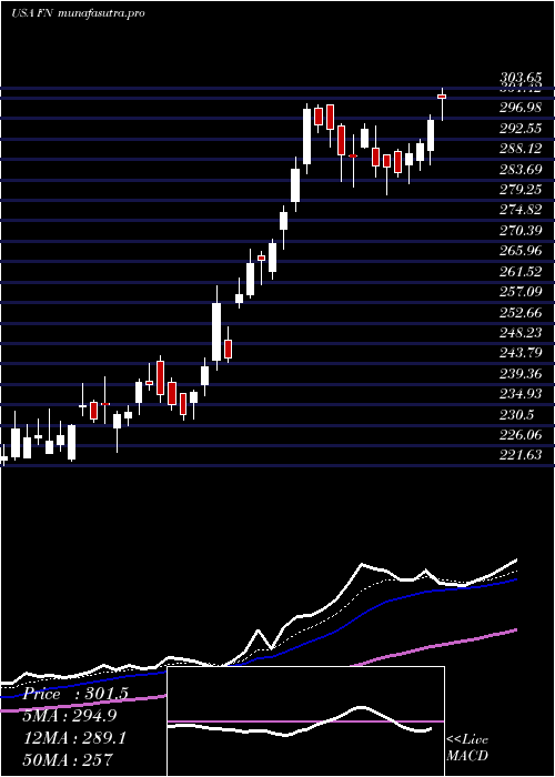 Daily chart Fabrinet