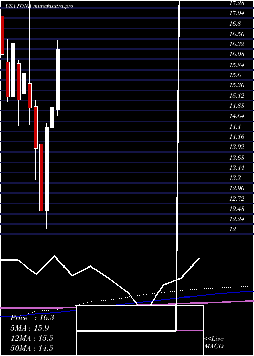 monthly chart FonarCorporation