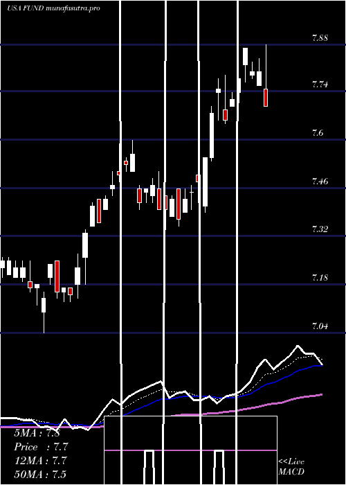 Daily chart SprottFocus