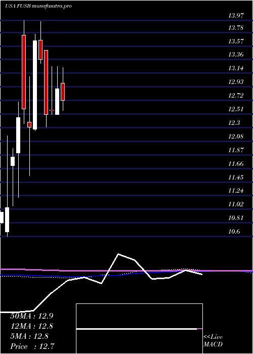 monthly chart FirstUs