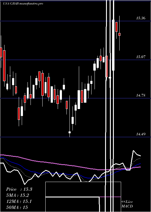 Daily chart GuggenheimTaxable