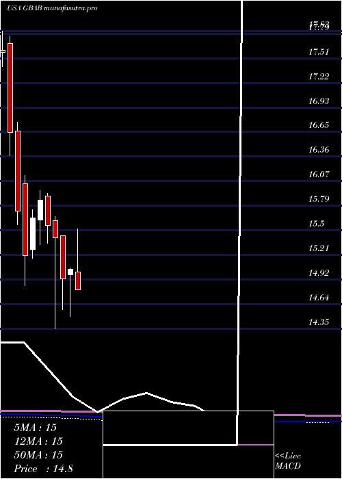 monthly chart GuggenheimTaxable