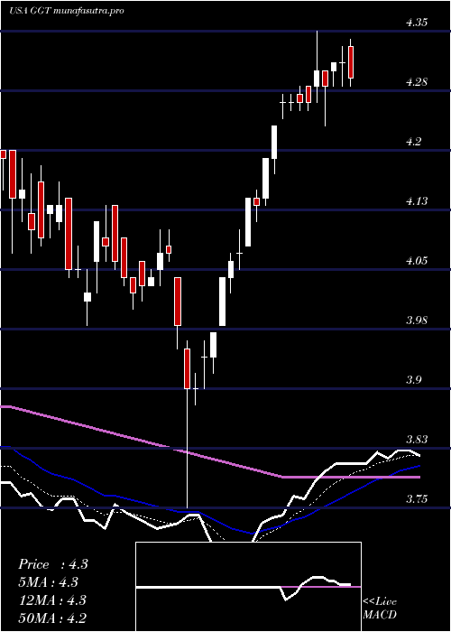 Daily chart GabelliMulti