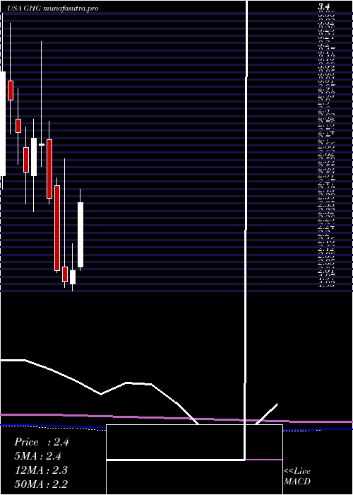 monthly chart GreentreeHospitality