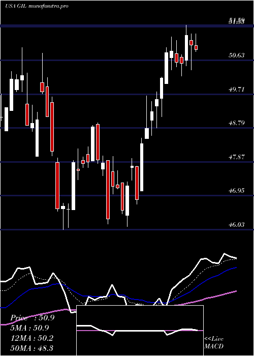 Daily chart GildanActivewear