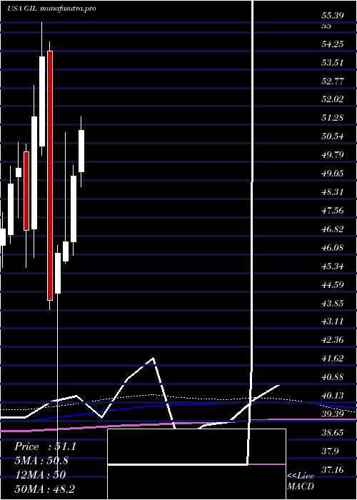 monthly chart GildanActivewear