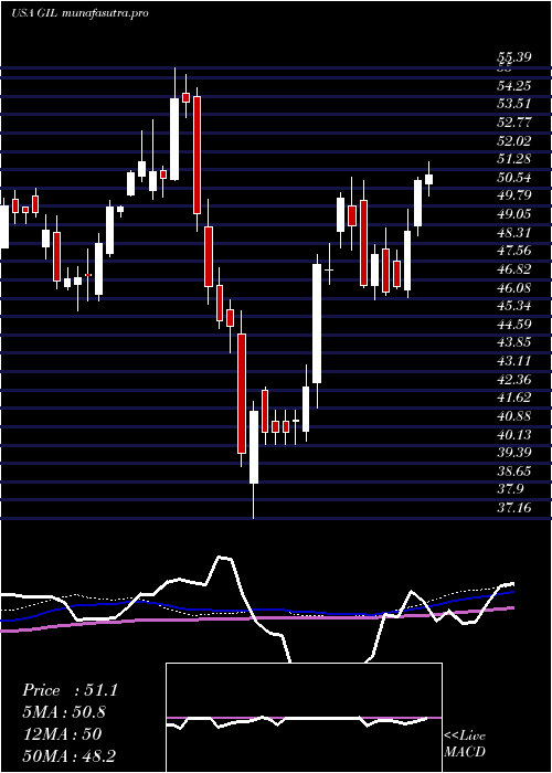 weekly chart GildanActivewear