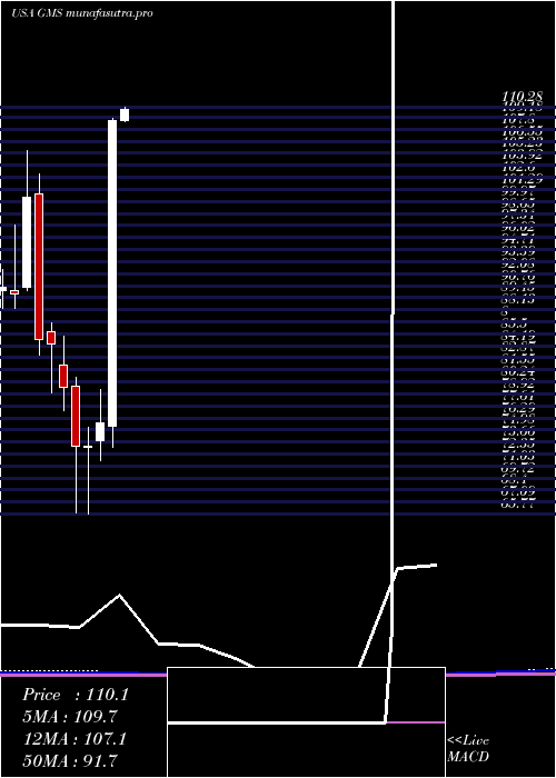 monthly chart GmsInc