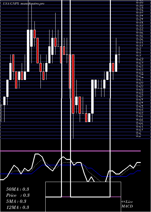 Daily chart GenprexInc