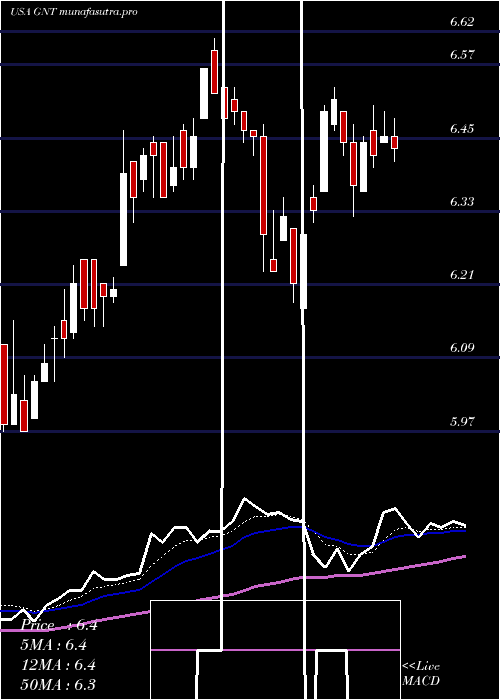Daily chart GamcoNatural