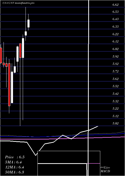 monthly chart GamcoNatural