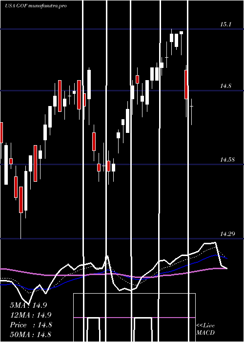 Daily chart GuggenheimStrategic