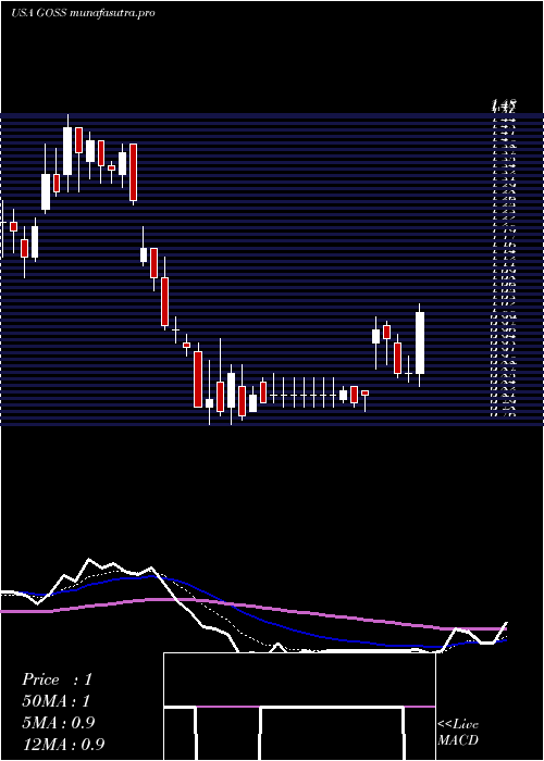  Daily chart GossamerBio