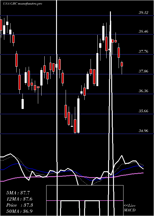 Daily chart GormanRupp