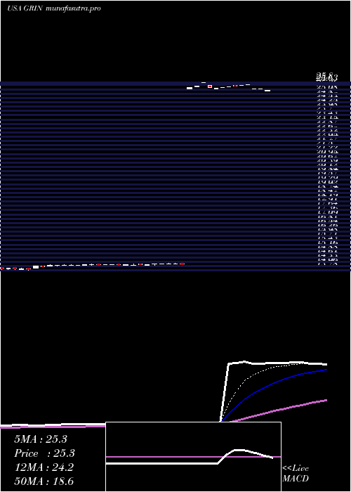Daily chart GrindrodShipping