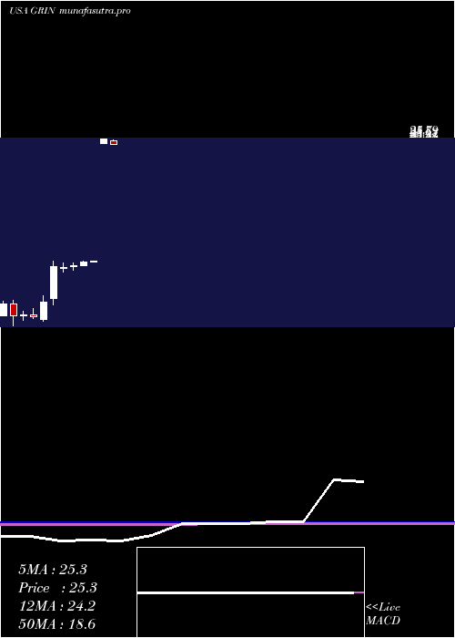 monthly chart GrindrodShipping