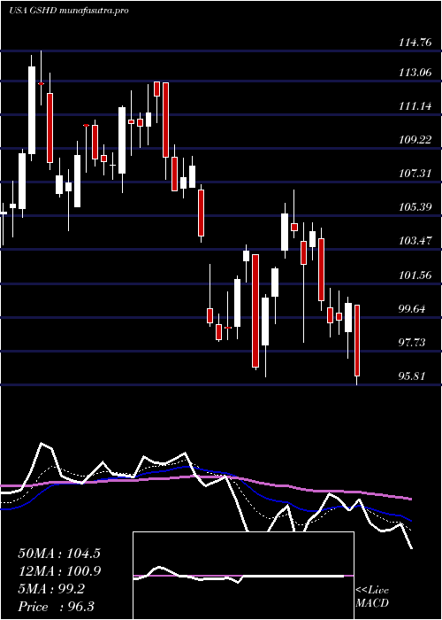 Daily chart GooseheadInsurance