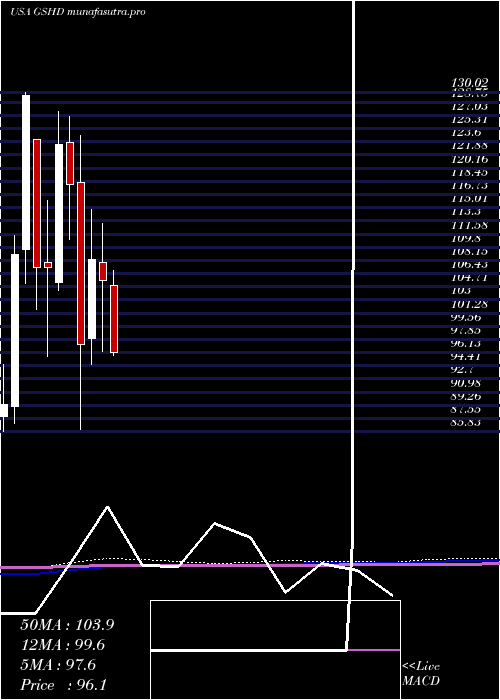 monthly chart GooseheadInsurance