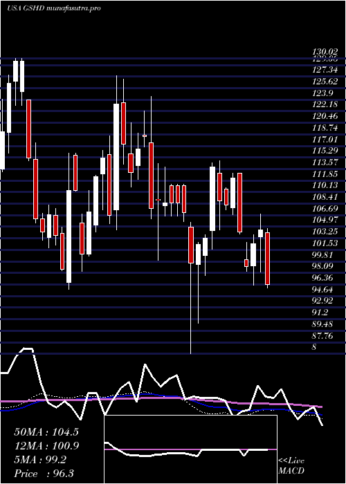 weekly chart GooseheadInsurance