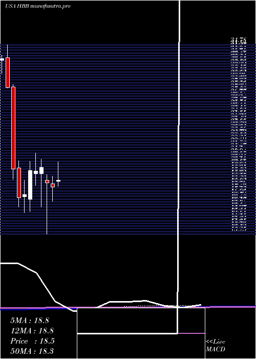 monthly chart HamiltonBeach
