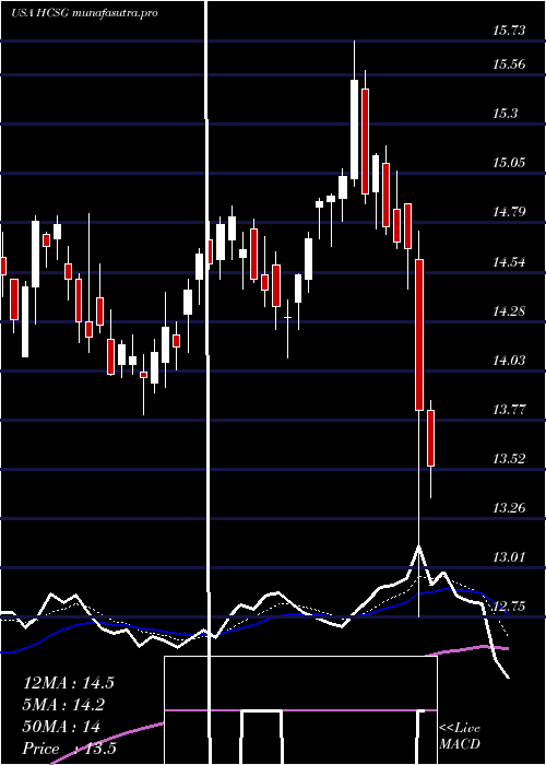 Daily chart HealthcareServices