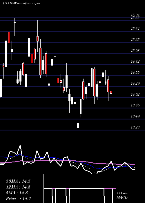 Daily chart HarmonyGold