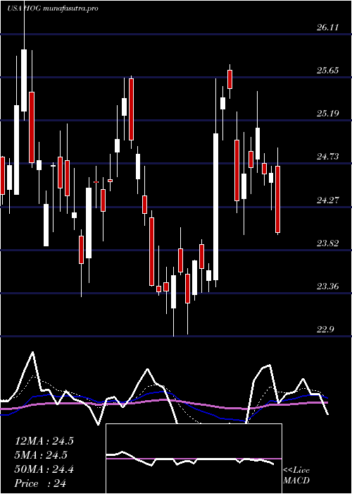 Daily chart HarleyDavidson