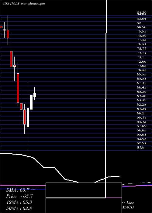 monthly chart HologicInc