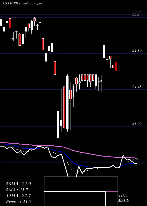  Daily chart WisdomtreeInterest
