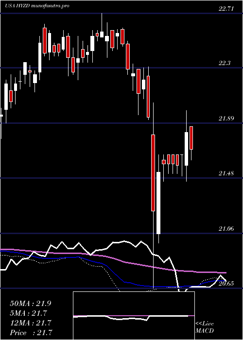  weekly chart WisdomtreeInterest