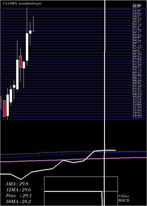 monthly chart IbexHoldings