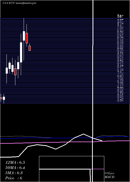  monthly chart ImmucellCorporation