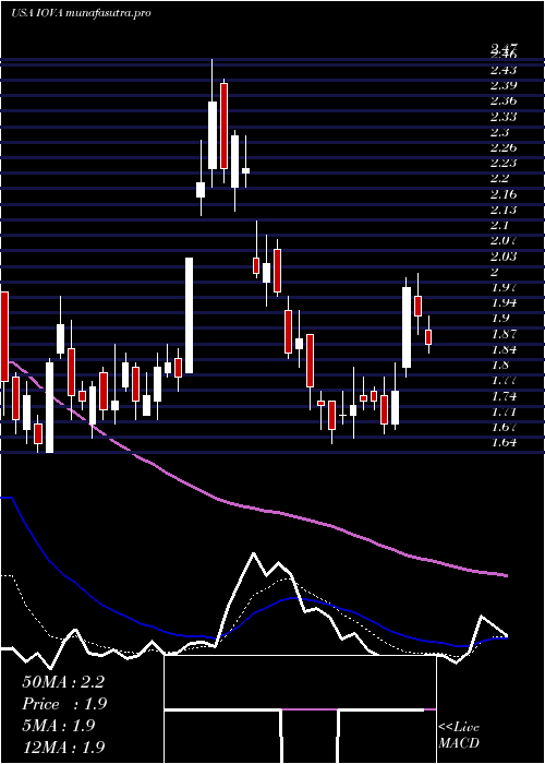 Daily chart IovanceBiotherapeutics