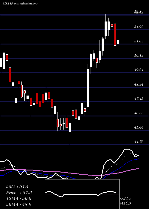 Daily chart InternationalPaper