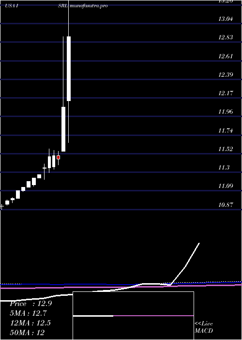 monthly chart IsramcoInc