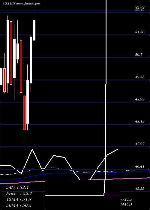 monthly chart InvescoStrategic
