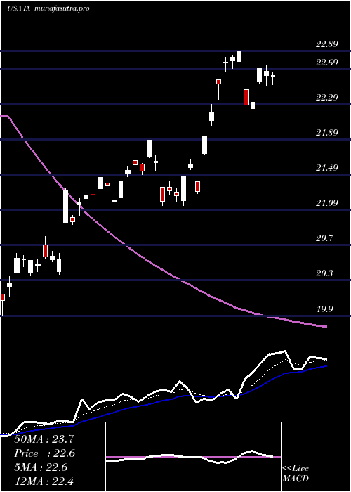 Daily chart OrixCorp