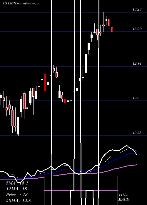 Daily chart NuveenGlobal