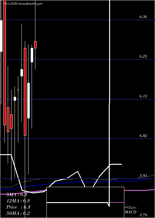 monthly chart NuveenMulti