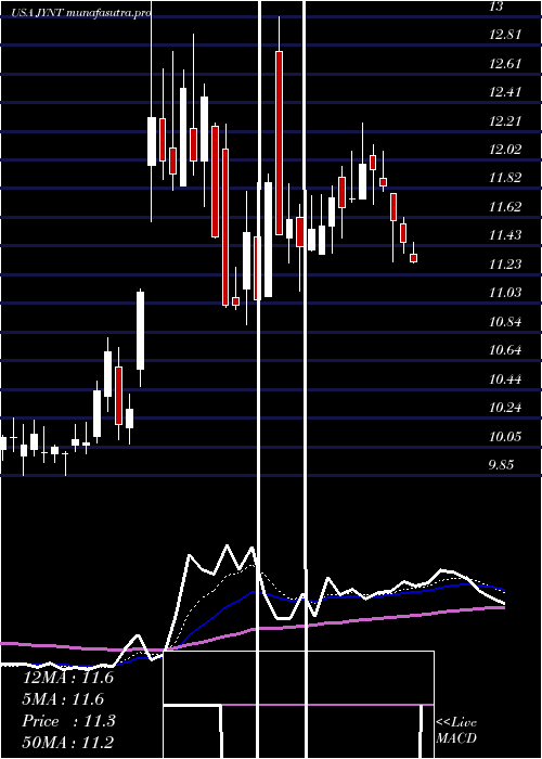 Daily chart JointCorp